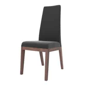Condo dining chair