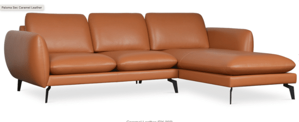Paloma leather sectional